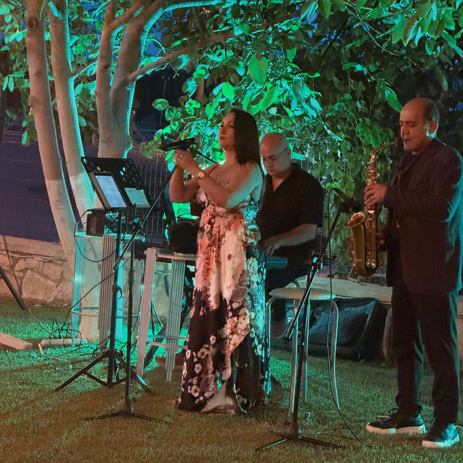 Canlı müzik